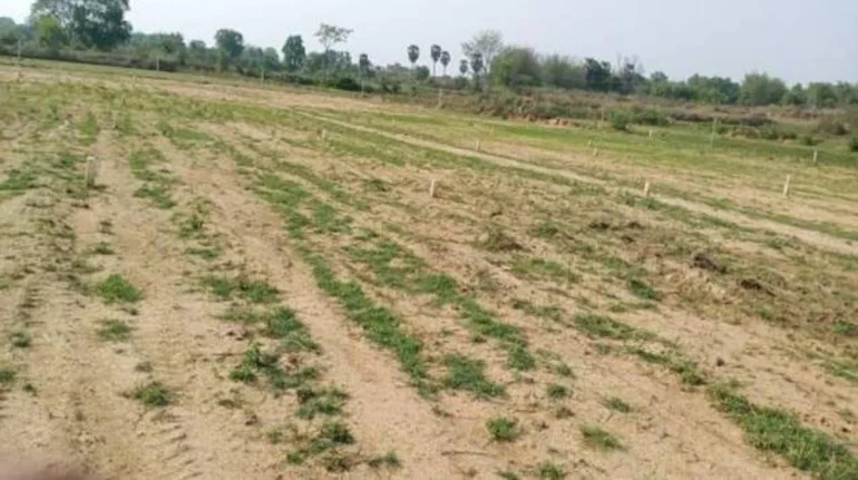 भोगवटादार वर्ग-2 जमीन म्हणजे काय? त्यामध्ये किती प्रकारच्या जमिनी येतात?