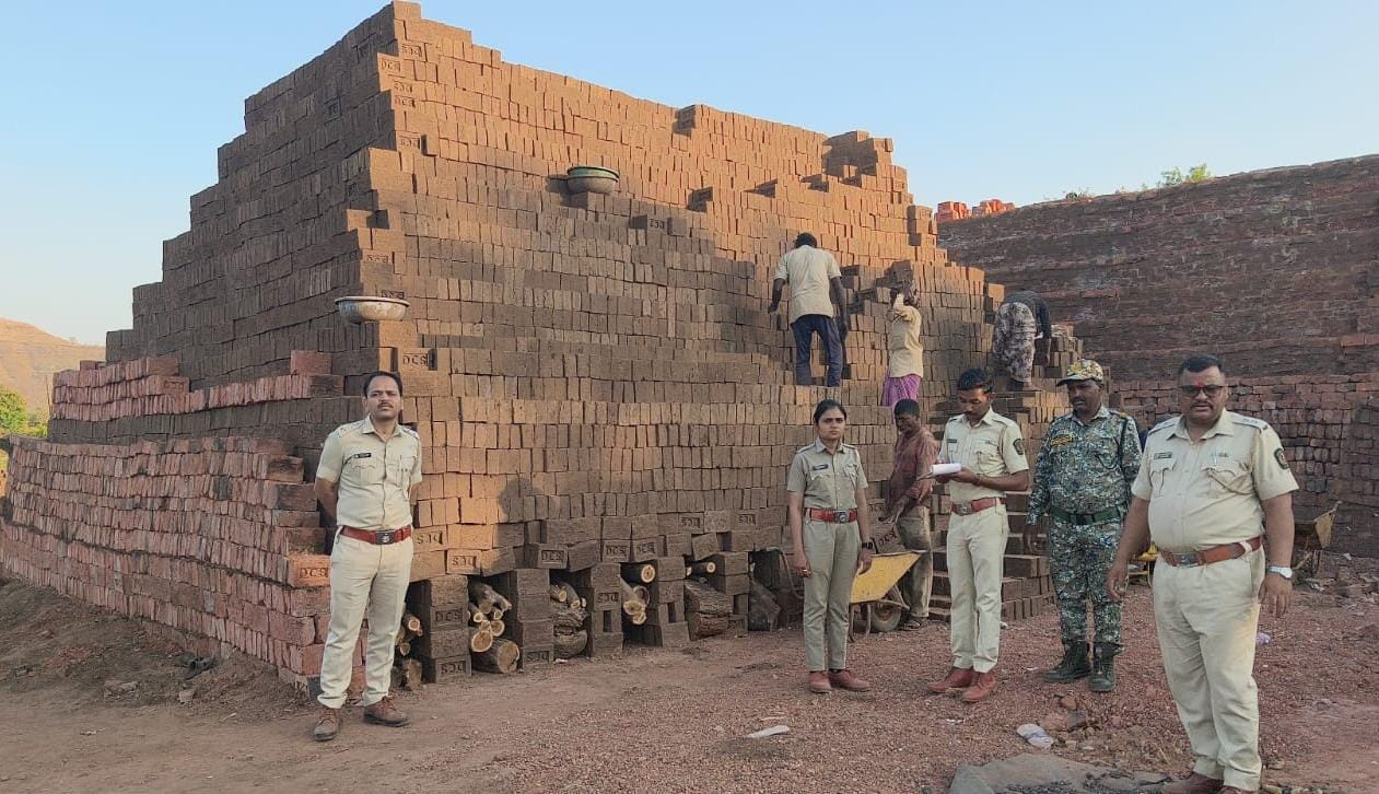 विनापरवाना जळाऊ सरपण साठवणूक ; वीटभट्टी मालकाविरोधात वनविभागाची कारवाई