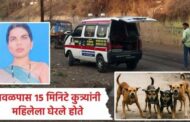 कुत्र्याच्या हल्ल्यात ३२ वर्षीय महिलेचा दुर्दैवी मृत्यू