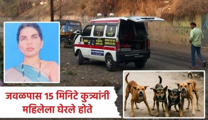 कुत्र्याच्या हल्ल्यात ३२ वर्षीय महिलेचा दुर्दैवी मृत्यू